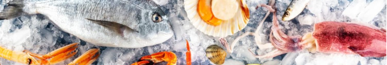 Fish & Seafood Dishes